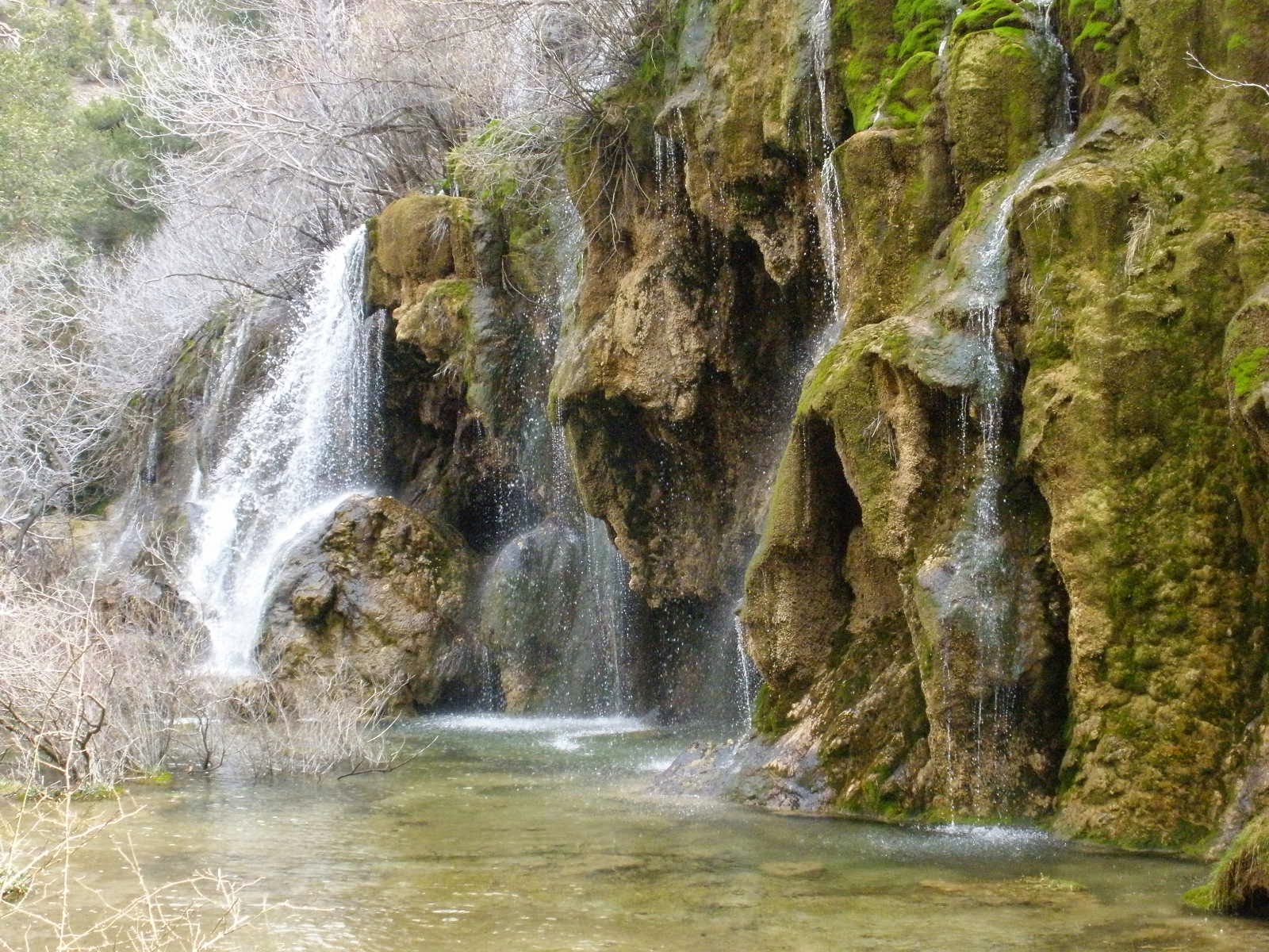 Visita guiada a la Serranía de Cuenca