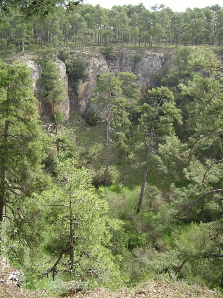 Torcas y Lagunas Cuenca