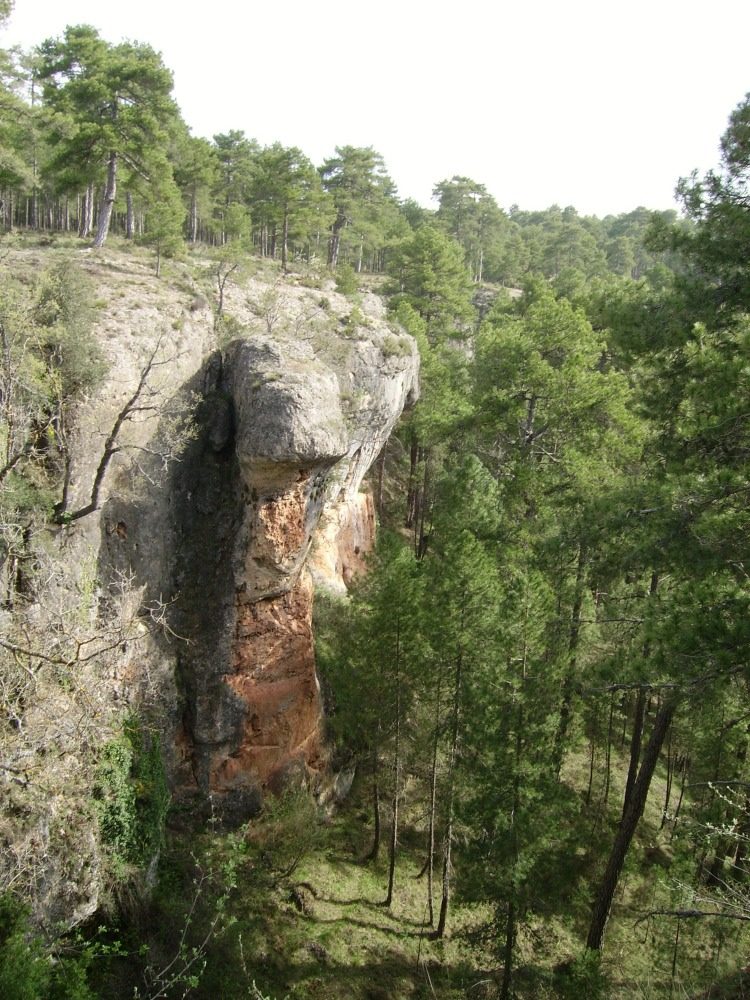 Torcas y Lagunas Cuenca