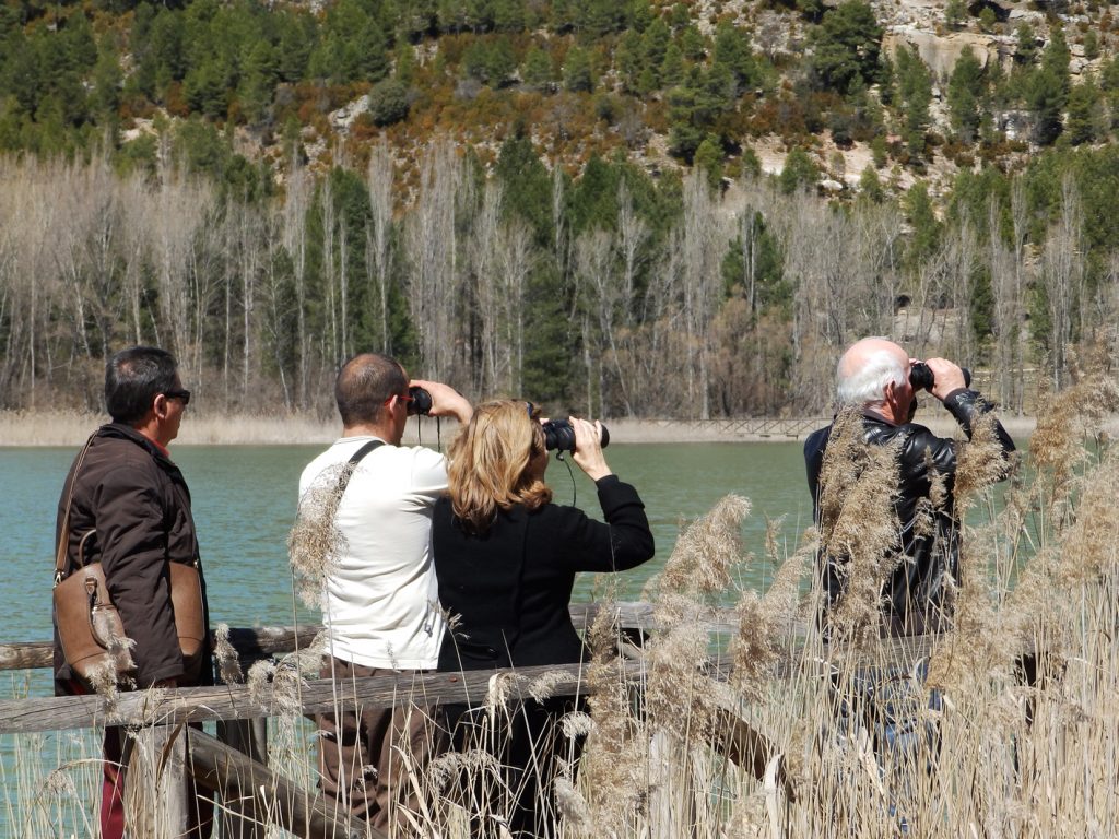 Visita Guiada en la Laguna de Uña