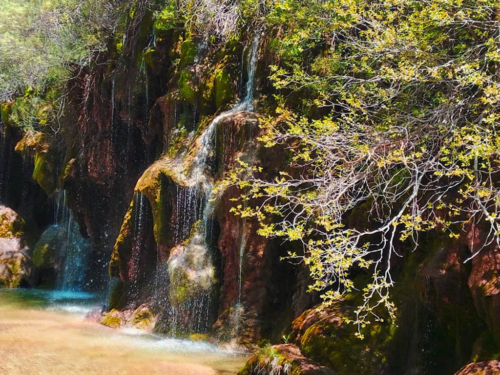 Nacimiento del Río Cuervo