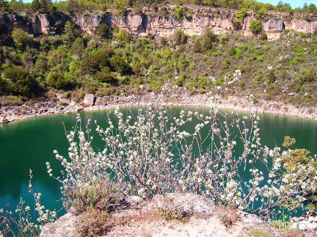 Laguna del Tejo